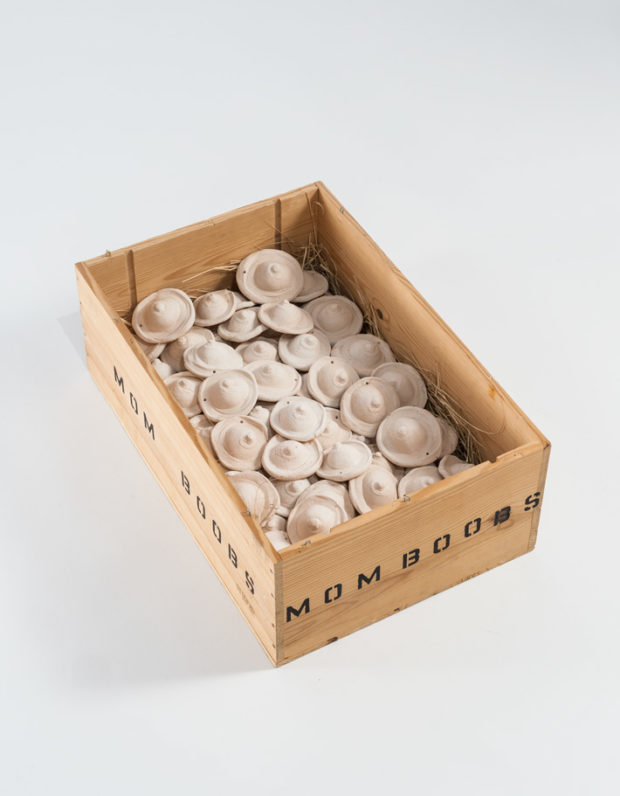 box-of-nipples-on-white-710